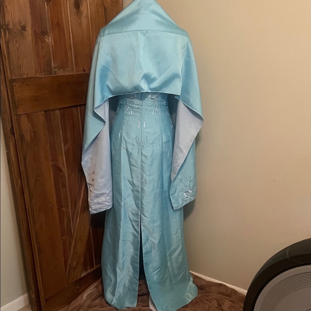 Tiffany Designs Light Blue Strapless Gown - Picture 10 of 16
